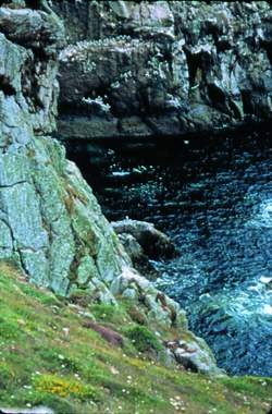 cap sizun1